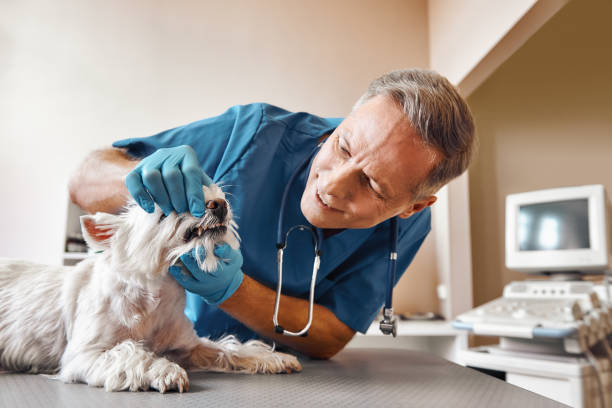 Best 24-Hour Emergency Dental Care in Hewitt, TX
